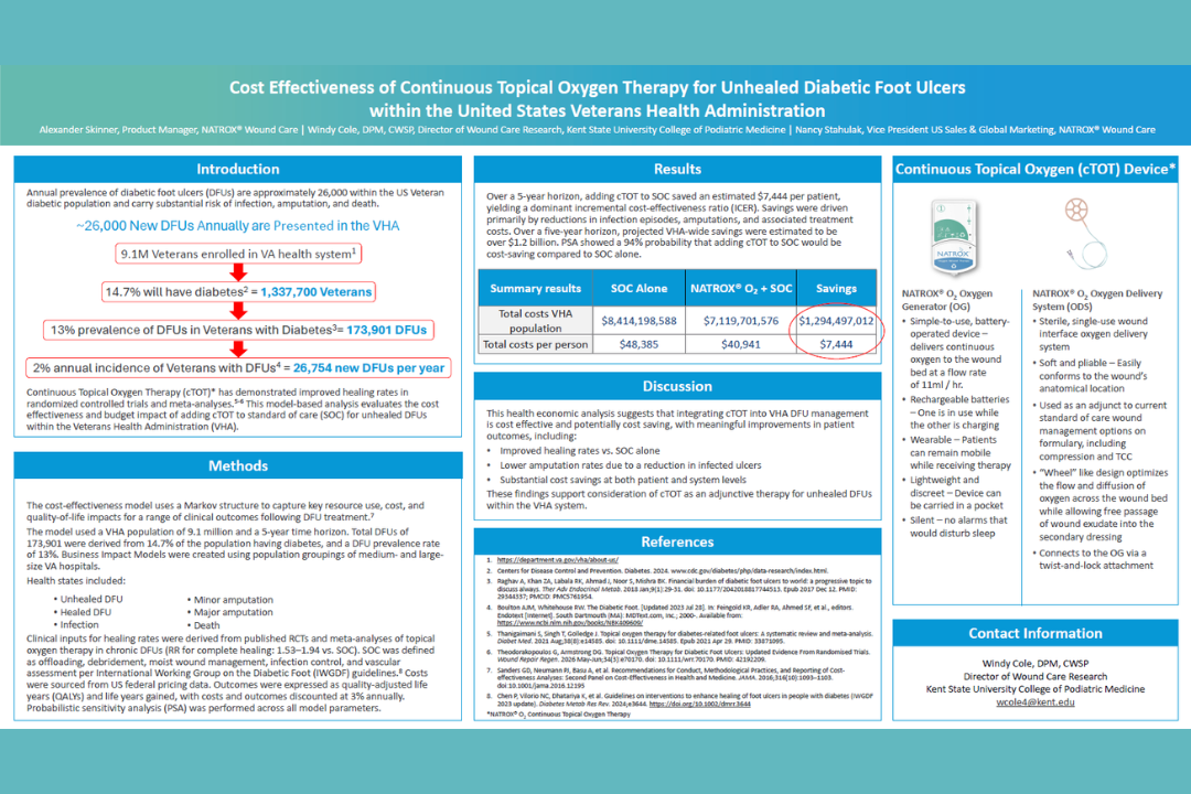 VHA cost effectiveness analysis